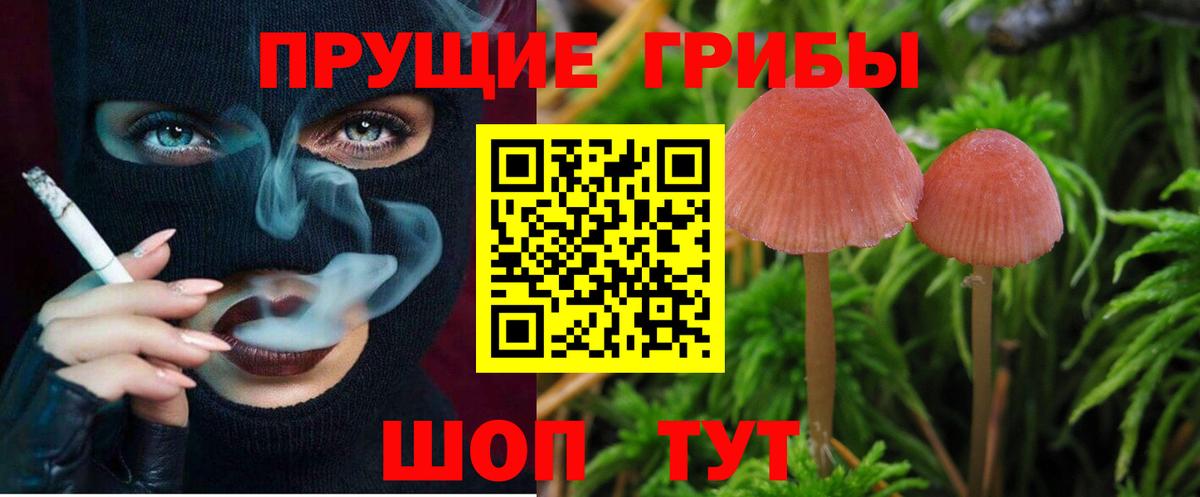 Псилоцибиновые грибы Psilocybe  Вход с VPN  где купить наркоту  Лабинск 